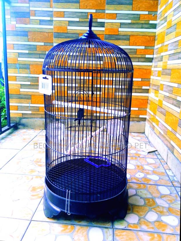 Imported Quality Parrot Cages · Photo 3