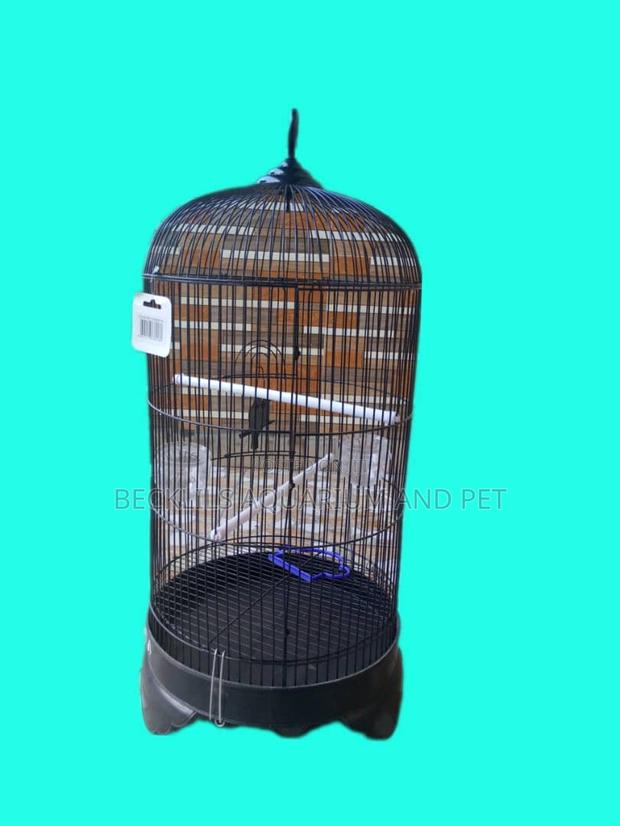 Imported Quality Parrot Cages · Photo 4