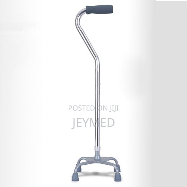 Tetrapod Walking Stick(Quade Cane) · Photo 3