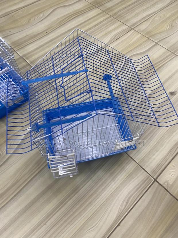 Cages For Small Bird · Photo 3