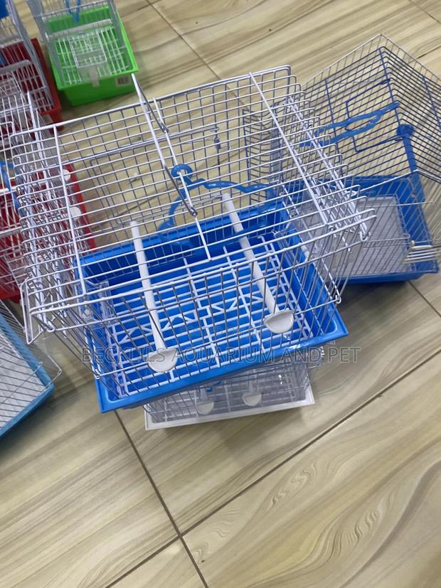 Cages For Small Bird · Photo 4