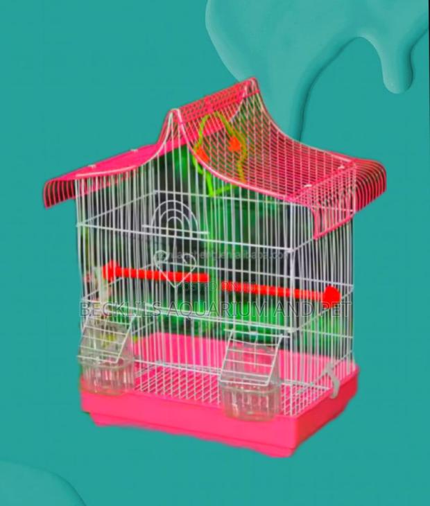 Finches Birdcage · Photo 4