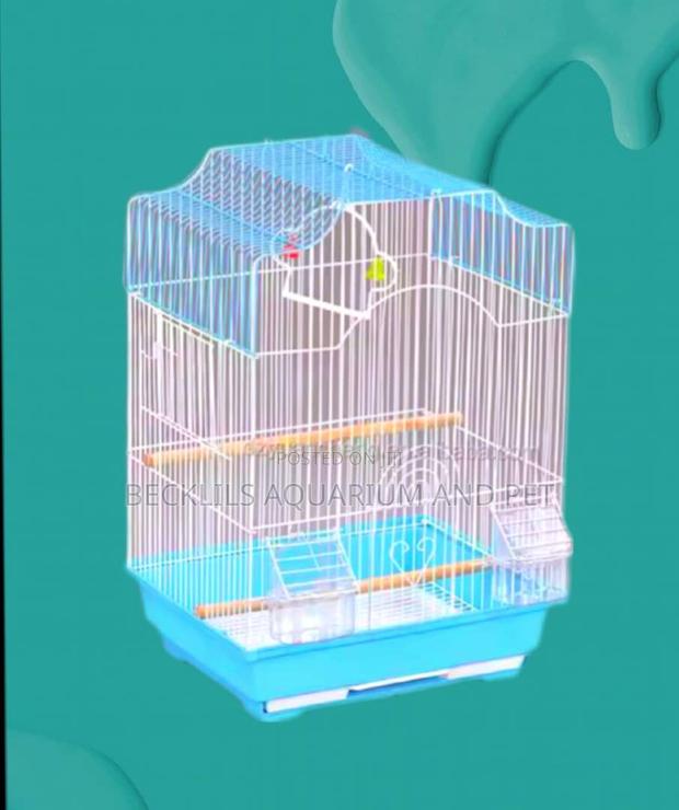 Cages for Love Birds · Photo 4
