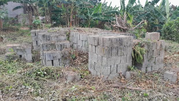 Plot Witth Footings for Sale at Kansa City · Photo 3