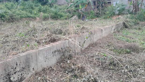Plot Witth Footings for Sale at Kansa City · Photo 4
