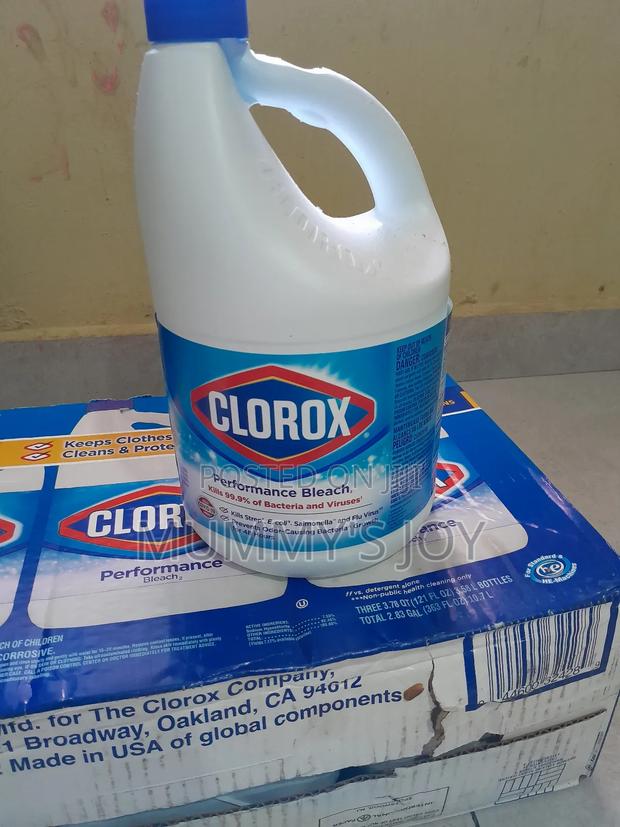 Clorox Bleach · Photo 3