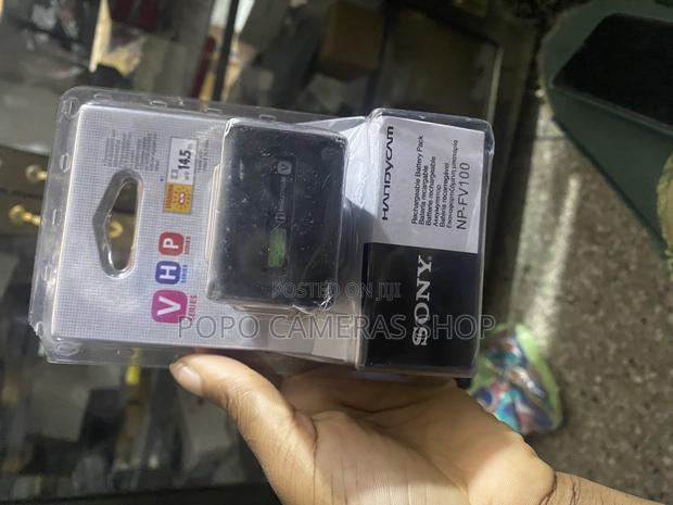 Sony NP-FV100 Battery · Photo 2