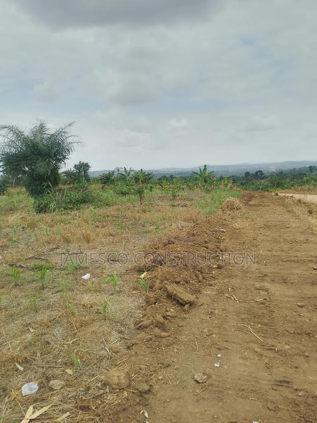 Registered Farmland for Sale · Photo 3