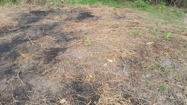 Plot for Sale at Anaji Mpatado · Photo 3