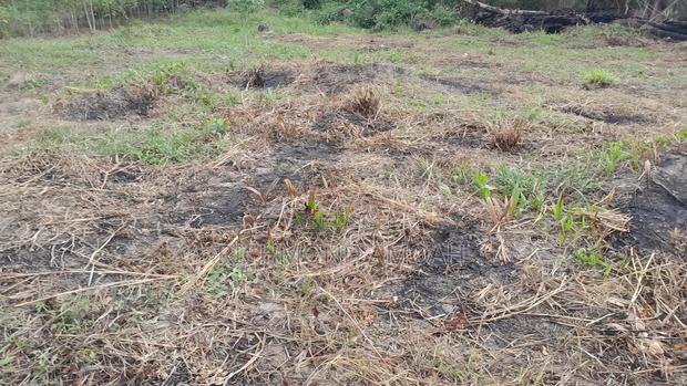 Plot for Sale at Anaji Mpatado · Photo 4