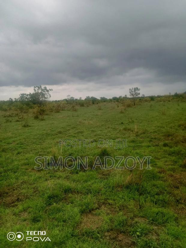 25,000 Acres of Farm Land for Sale