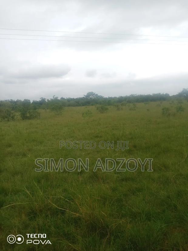 25,000 Acres of Farm Land for Sale