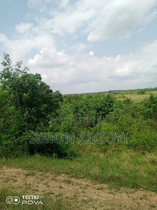 6000 Acres Farm Land Available for Long Term Lease