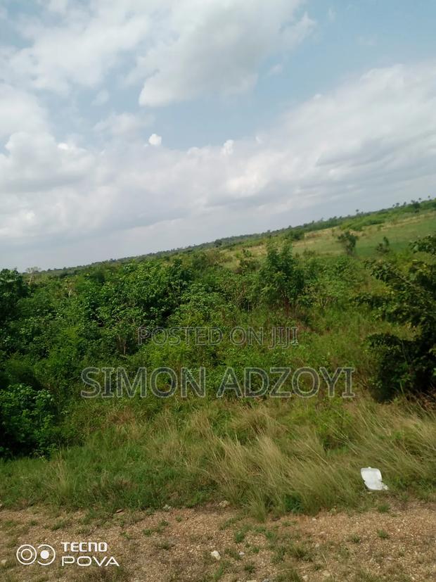 6000 Acres Farm Land Available for Long Term Lease