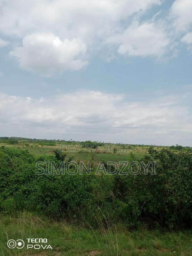 250 Acres of Land for Sale