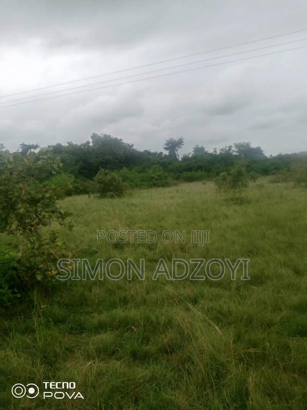 250 Acres of Land for Sale