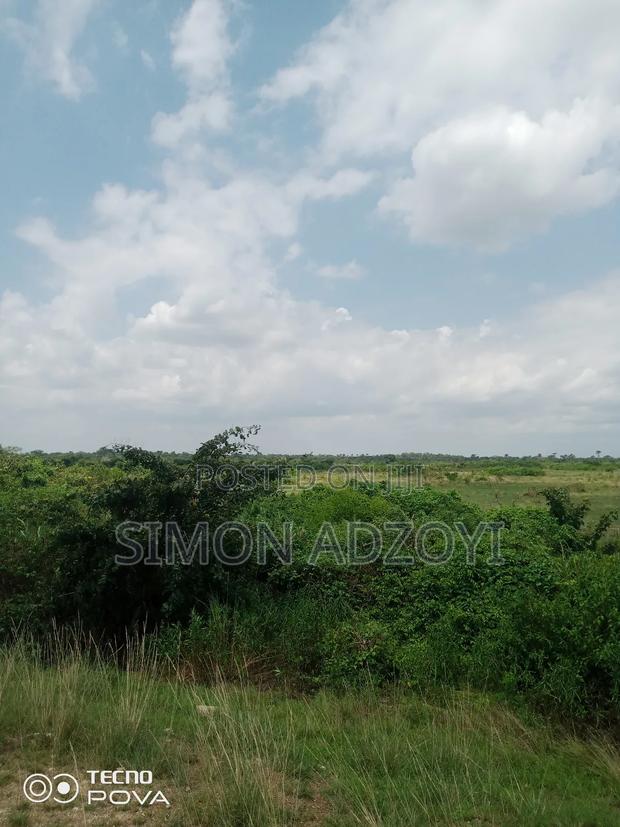 250 Acres of Land for Sale
