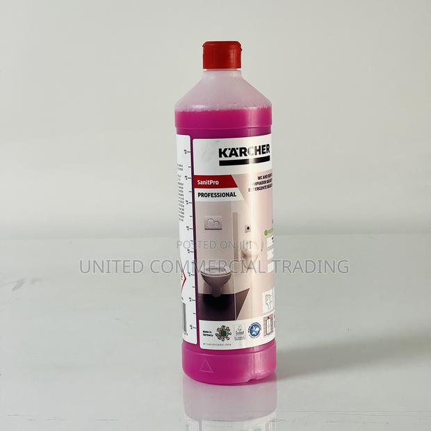 Sanitary Basic Cleaning (Karcher) · Photo 4