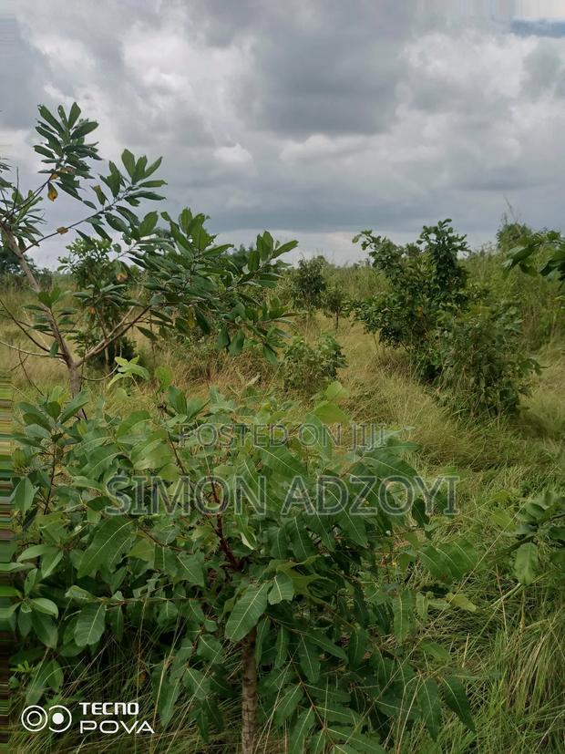 10,000 Acres of Farm Land for Long Term Lease