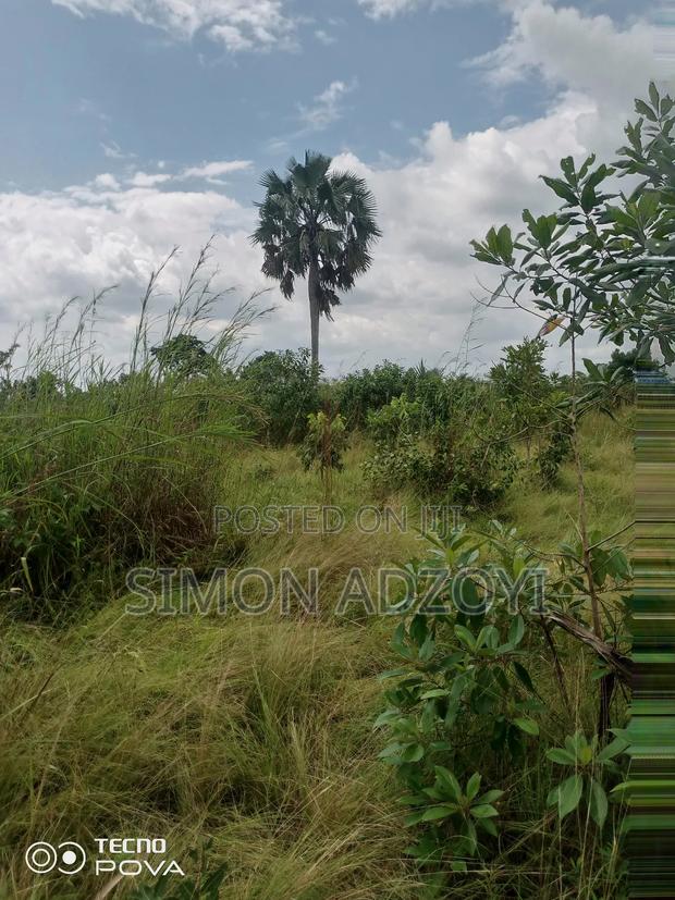 10,000 Acres of Farm Land for Long Term Lease