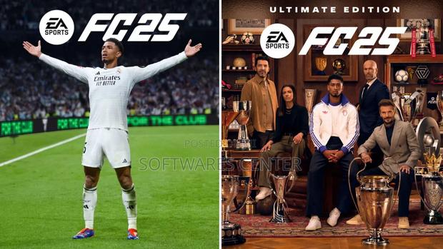 Ea Fc 25 for PC