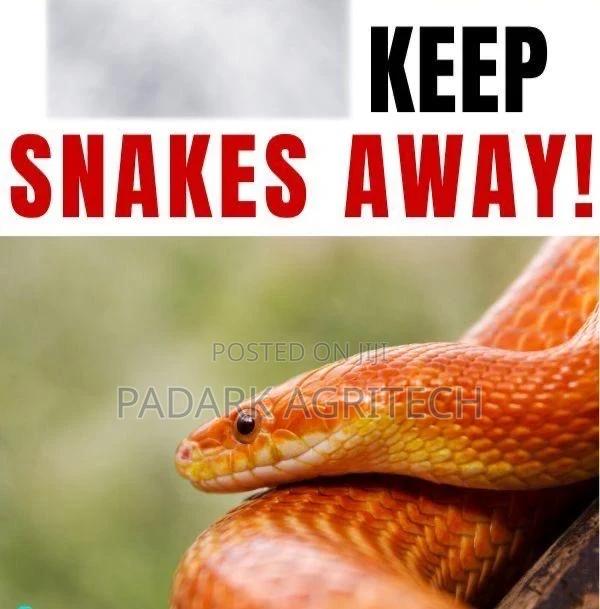 Reptiles Fumigation · Photo 3