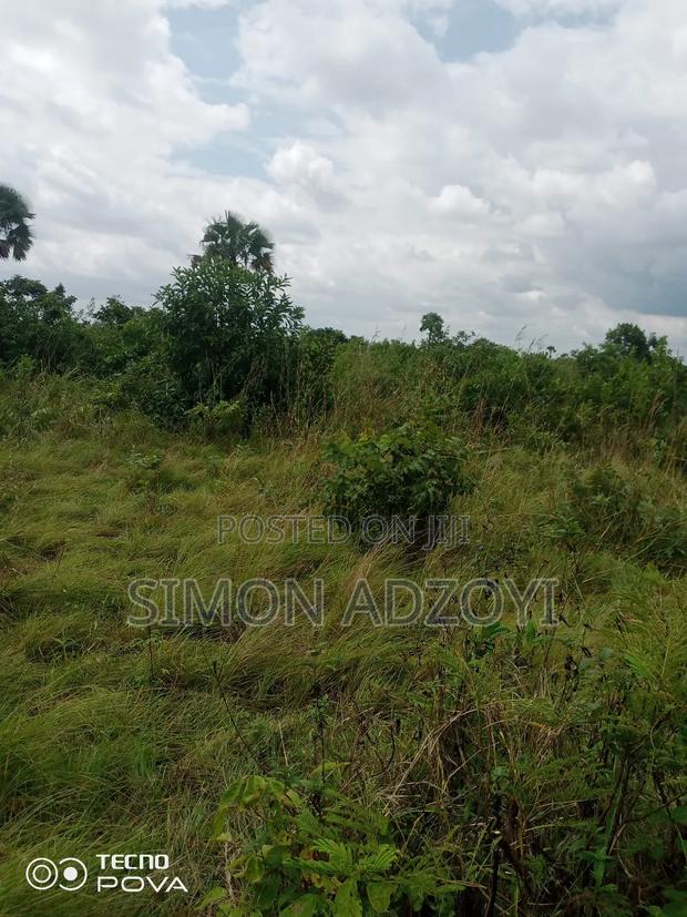 Farm Land for Long Term Lease