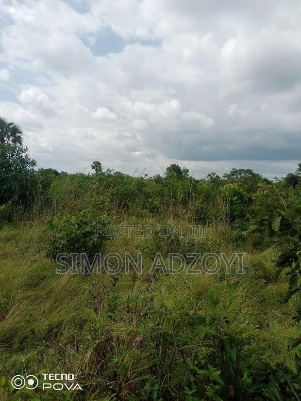 Farm Land for Long Term Lease
