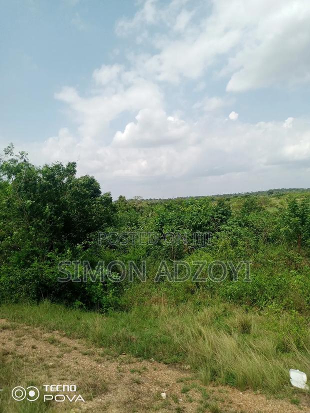 5000+ of Farm Land for Long Term Lease