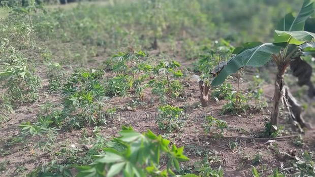 Half Plot for Sale at Nkroful _Karen · Photo 1