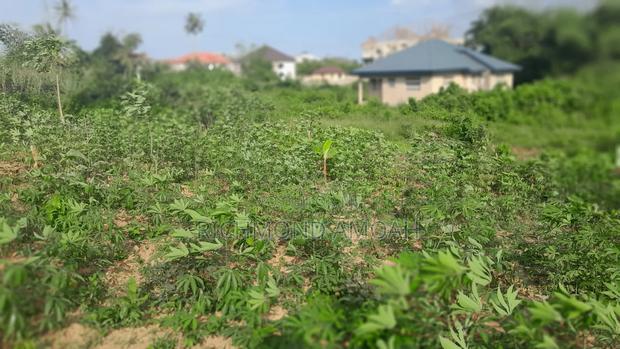 Half Plot for Sale at Nkroful _Karen · Photo 2