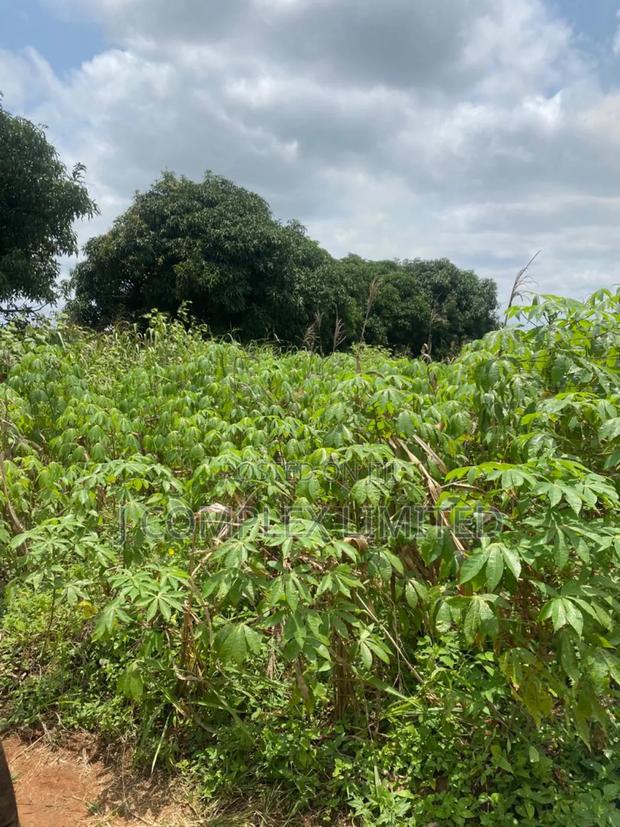 2 Plots for Sale at New Legon · Photo 4