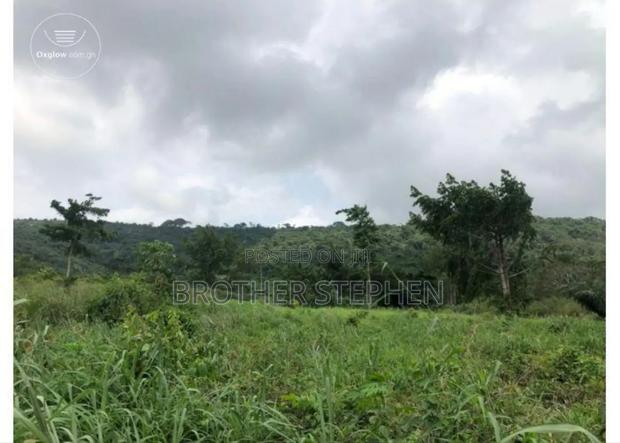 12,000 Acres of Farmland for Sale at Asamankese. · Photo 4