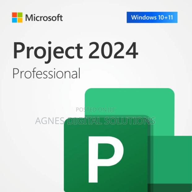 Microsoft Project 2024 Professional 1PC