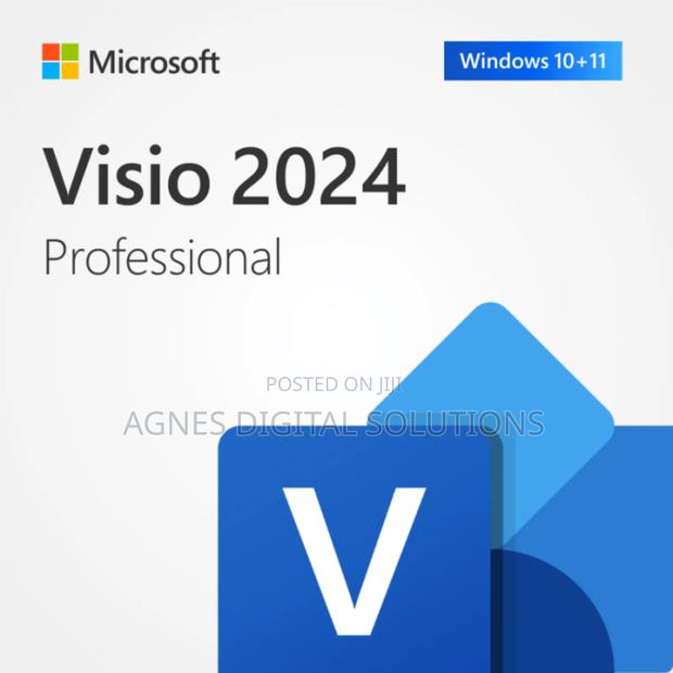Microsoft Visio 2024 Professional 1PC