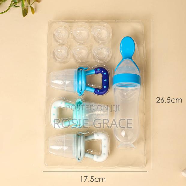 Fruit Pacifier and Feeding Spoon Set/Feeder · Photo 3