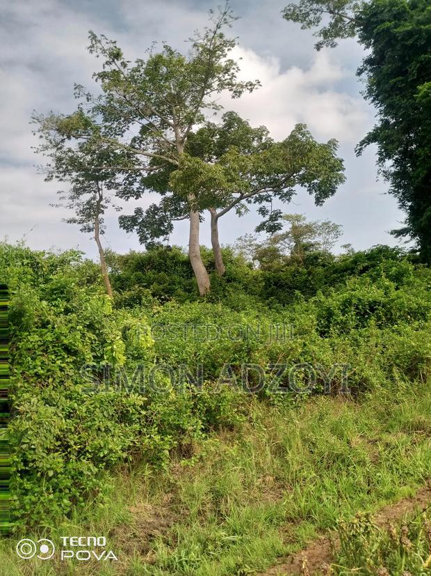 50,000 Acres of Farm Land for Sale or Login Lease