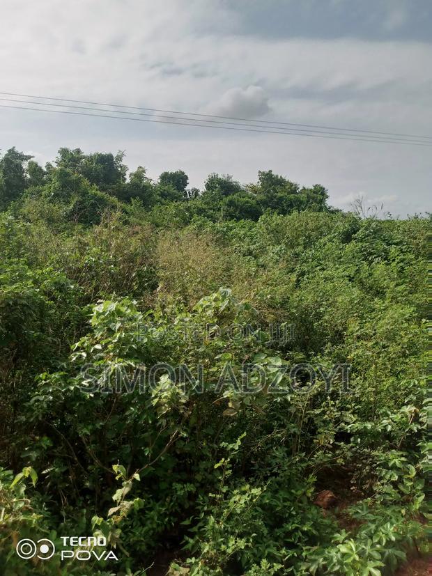 50,000 Acres of Farm Land for Sale or Login Lease