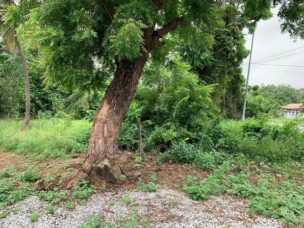Six Plots of Land for Sale Located at Oyarifa Focus Hospital · Photo 3