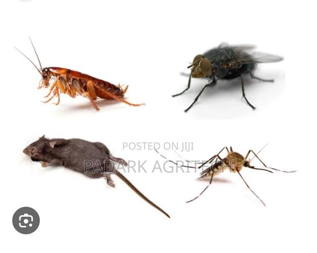 Insects/Pests Control · Photo 2