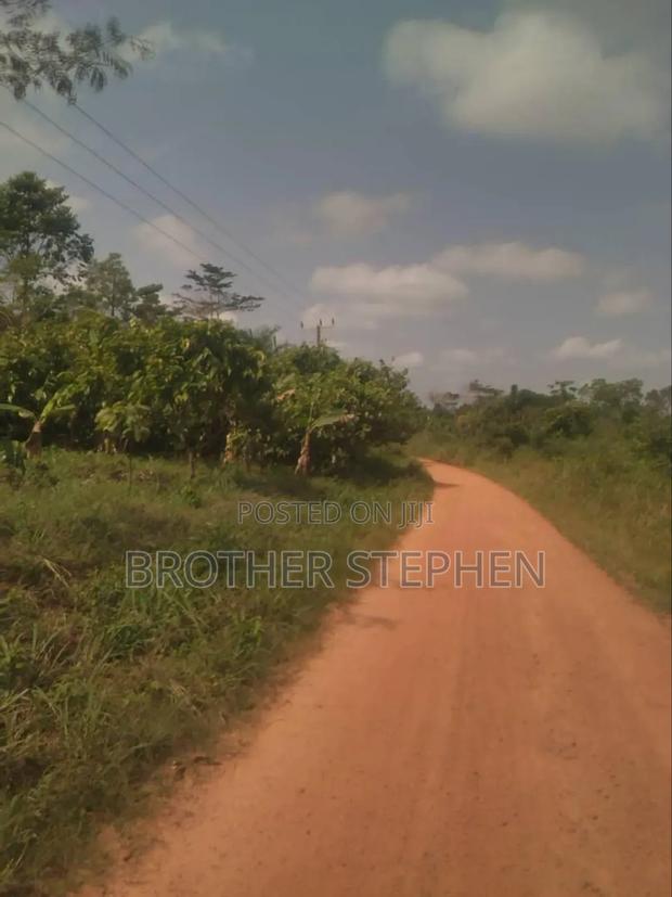 Farmland for Sale at Asamankese · Photo 3