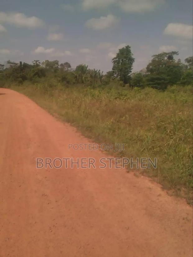 Farmland for Sale at Asamankese · Photo 4