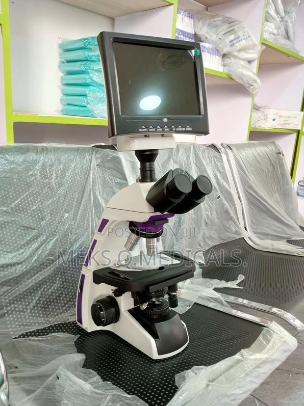 Microscope With Colored Screen