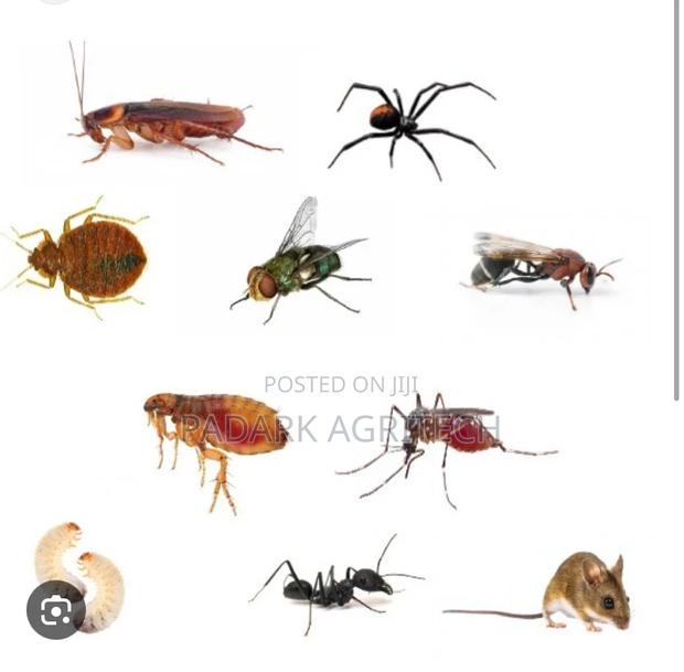 Pest Control Services in Kumasi · Photo 2