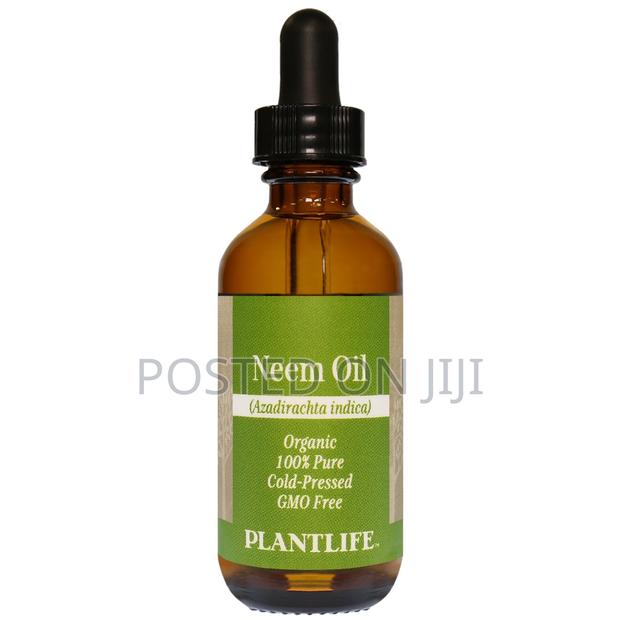 Neem Oil Prevents Pregnancy Contraception