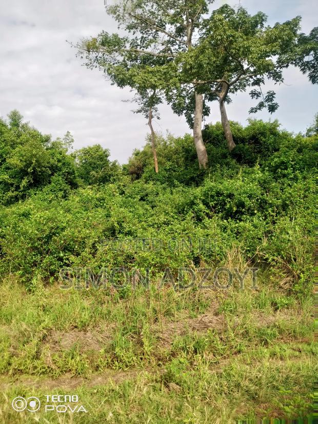 100 Acres Available for Sale