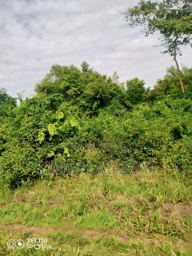 100 Acres Available for Sale