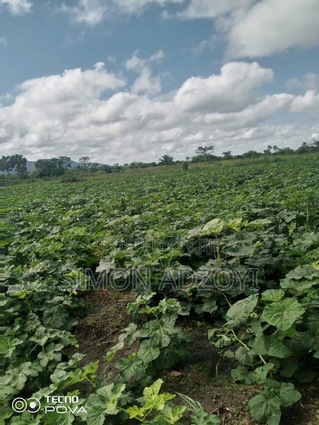 100 Acres Available for Sale