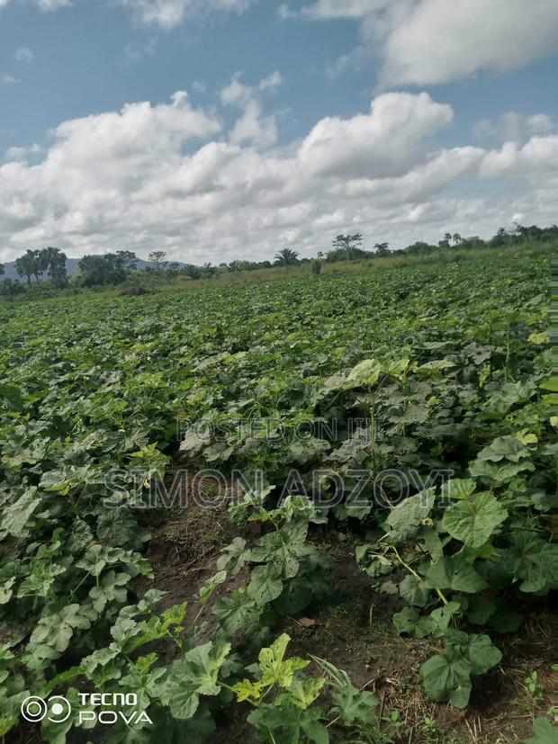 100 Acres Available for Sale