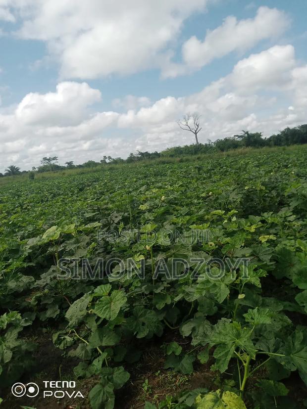 100 Acres Available for Sale